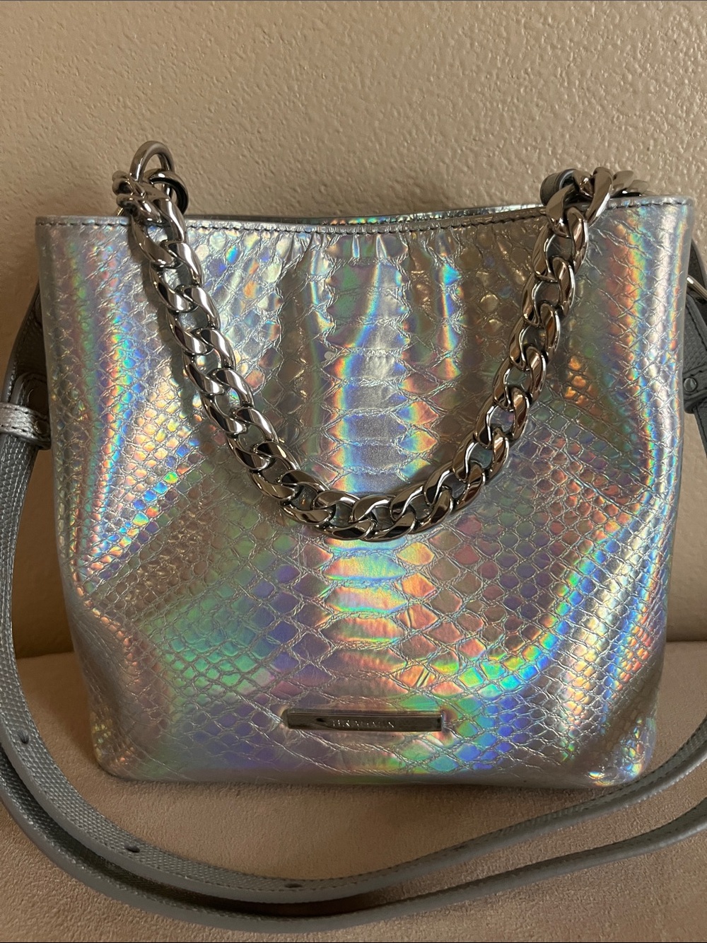 Brahmin holographic bag